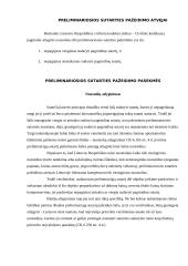 Preliminarioji sutartis 11 puslapis