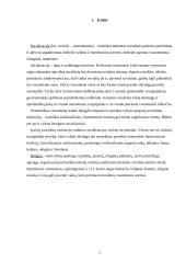 Bažnyčios įtaka žmogaus socializacijai 2 puslapis