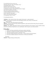 Šimtadienio scenarijus 4 puslapis