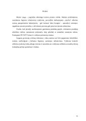 Maisto higienos praktikos ataskaita: maisto produktų gamybos įmonėje UAB "Grimeda" ir gyvulių skerdimo įmonėje UAB "Avirgineda" 15 puslapis