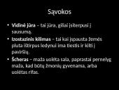 Baltijos jūros ypatumai 3 puslapis
