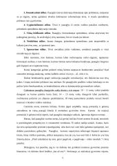 Paauglystės krizės 5 puslapis