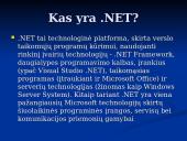 .NET technologija 3 puslapis