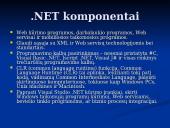 .NET technologija 4 puslapis