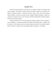 Agresyvumas vaikystėje 9 puslapis