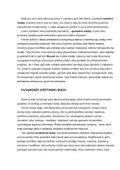 Studijuoti asmenybę – tai atskleisti, kaip žmogus tampa tuo, kuo jis yra 6 puslapis