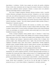 Asmenybės brendimas 10 puslapis