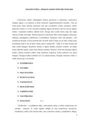 Asmenybės kultūra, įtakojanti santykius kultūrinėje institucijoje 2 puslapis