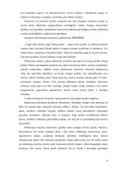 Asmenybės kultūra, įtakojanti santykius kultūrinėje institucijoje 3 puslapis