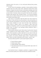 Asmenybės kultūra, įtakojanti santykius kultūrinėje institucijoje 4 puslapis