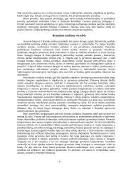 Asmenybės vystymasis 4 puslapis