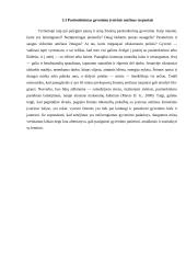 Aš koncepcija: brandos problema 12 puslapis