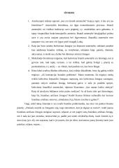 Aš koncepcija: brandos problema 13 puslapis