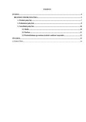 Aš koncepcija: brandos problema 3 puslapis