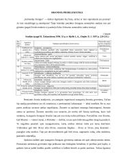 Aš koncepcija: brandos problema 5 puslapis