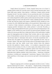 Aš koncepcija: brandos problema 10 puslapis