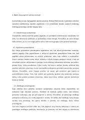 Atmintis senatvėje 5 puslapis