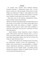 Autorinių ir gretutinių teisių administravimas 3 puslapis