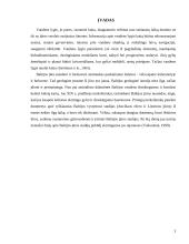 Baltijos jūros vandens lygio svyravimai holocene 3 puslapis