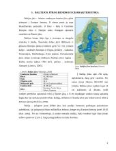Baltijos jūros vandens lygio svyravimai holocene 4 puslapis