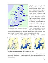 Baltijos jūros vandens lygio svyravimai holocene 10 puslapis