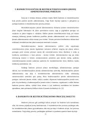 Bankroto ir restruktūrizavimo proceso ypatumų palyginimas 11 puslapis