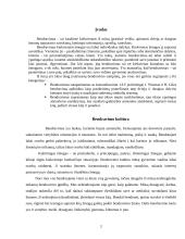 Bendravimas - žmogaus vertybė 2 puslapis