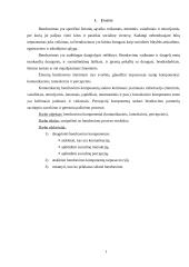 Bendravimo komponentai 2 puslapis