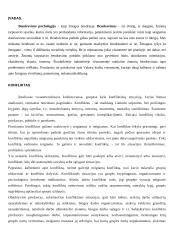 Bendravimo psichologija - konfliktas, jo sprendimai ir pasekmės 2 puslapis