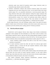 Esminiai bendrieji sutarčių civilinėje teisėje nuostatai 14 puslapis