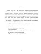 Esminiai bendrieji sutarčių civilinėje teisėje nuostatai 3 puslapis