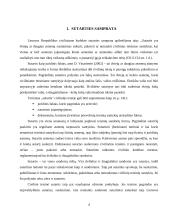 Esminiai bendrieji sutarčių civilinėje teisėje nuostatai 4 puslapis