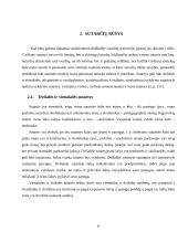 Esminiai bendrieji sutarčių civilinėje teisėje nuostatai 6 puslapis