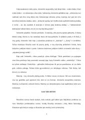 Būties samprata Aristotelio filosofijoje 3 puslapis