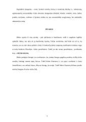 Būties samprata Aristotelio filosofijoje 5 puslapis