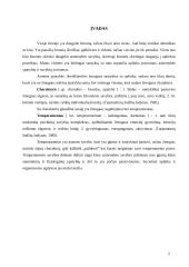 Charakteris ir temperamentas 2 puslapis