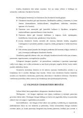 Charakteris ir temperamentas 4 puslapis