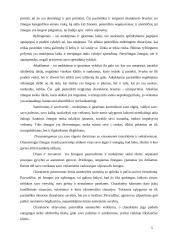 Charakteris ir temperamentas 5 puslapis