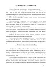 Charakteris ir temperamentas 6 puslapis