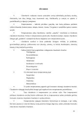 Charakteris ir temperamentas 10 puslapis