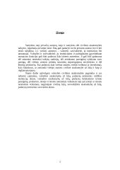 Civilinė atsakomybė už žalą atsiradusią dėl valdžios institucijų neteisėtų veiksmų 3 puslapis