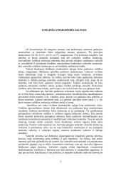 Civilinė atsakomybė už žalą atsiradusią dėl valdžios institucijų neteisėtų veiksmų 4 puslapis