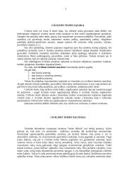 Civilinės teisės sąvoka ir samprata  2 puslapis