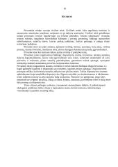 Civilinės teisės sąvoka ir samprata  16 puslapis