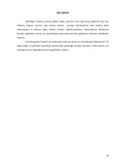 Čiarterio sutartys. Laivo be įgulos čiarteris 16 puslapis