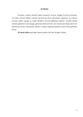 Čiarterio sutartys. Laivo be įgulos čiarteris 3 puslapis