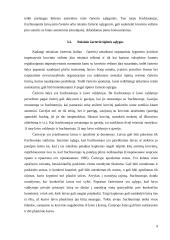 Čiarterio sutartys. Laivo be įgulos čiarteris 9 puslapis