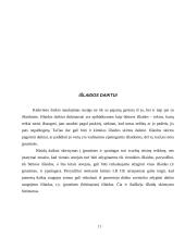 Daiktai - civilinės teisės objektai 11 puslapis