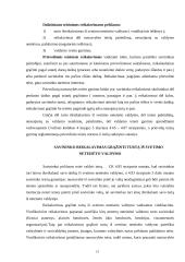 Daiktinė teisė ir jos įgyvendinimas 12 puslapis