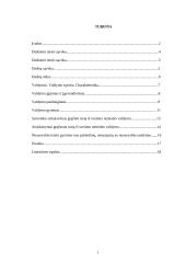 Daiktinė teisė ir jos įgyvendinimas 2 puslapis